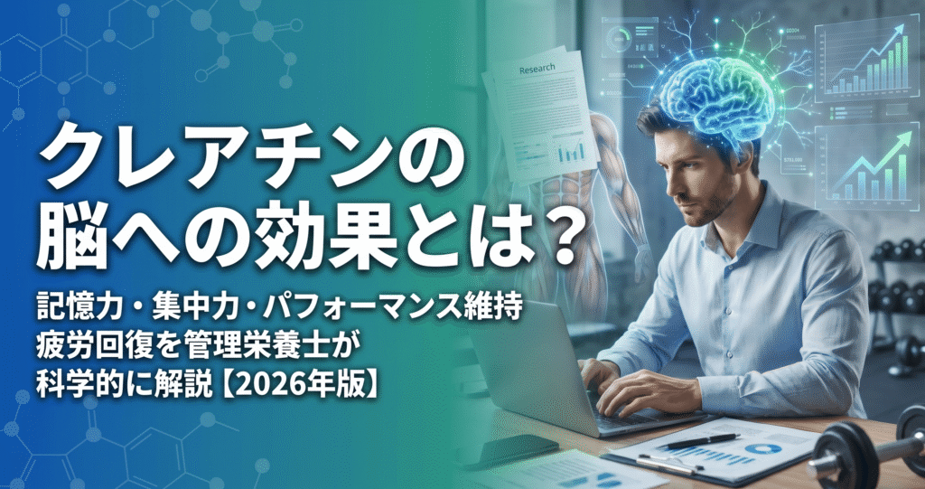 クレアチンの脳への効果とは？記憶力・集中力・パフォーマンス維持疲労回復を管理栄養士が科学的に解説 【2026年版】
